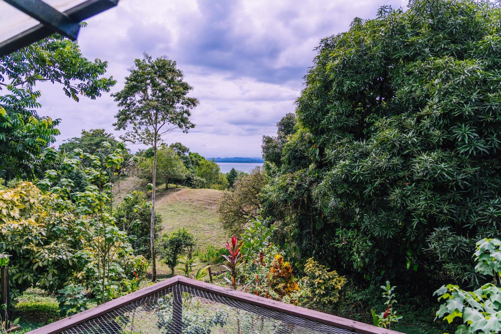 Bambuda Lodge Соларте Номер фото
